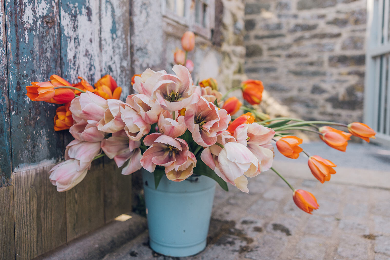 The Land Gardeners banner image