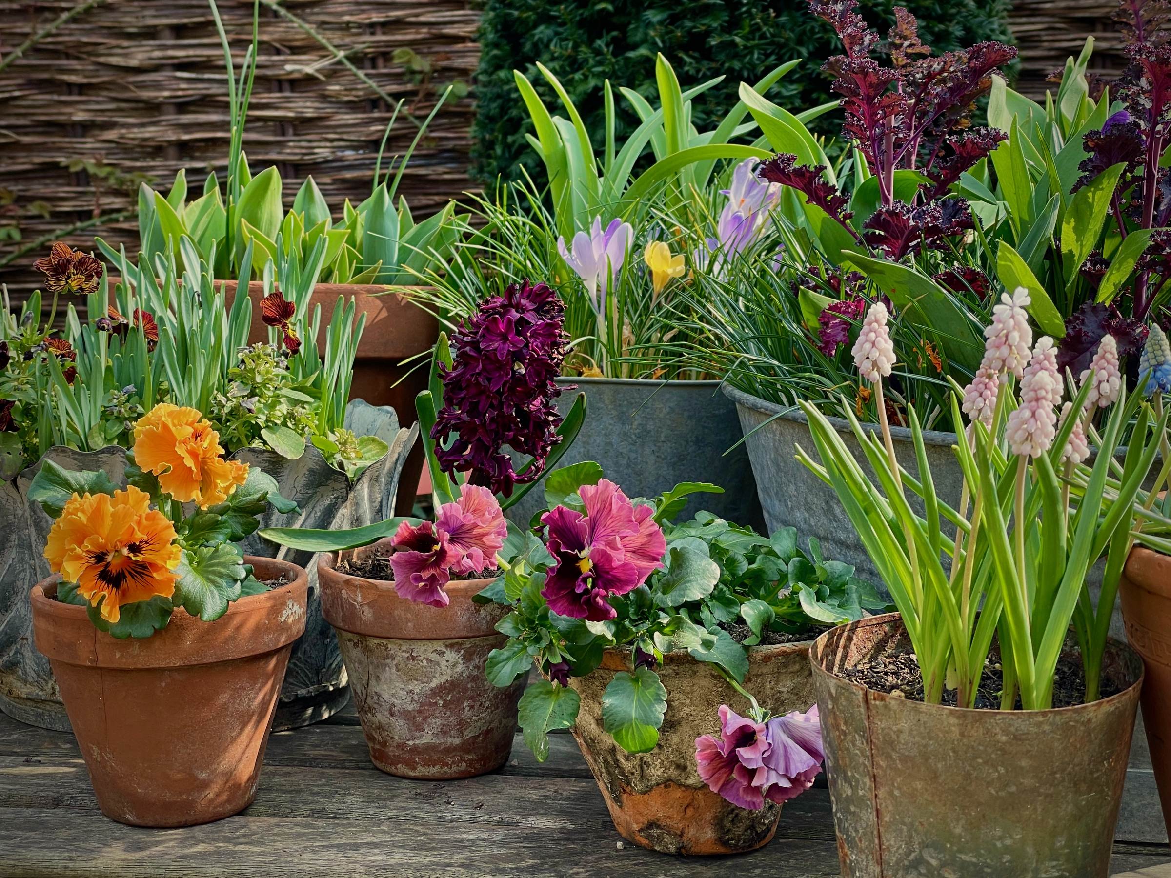 Arthur Parkinson banner image