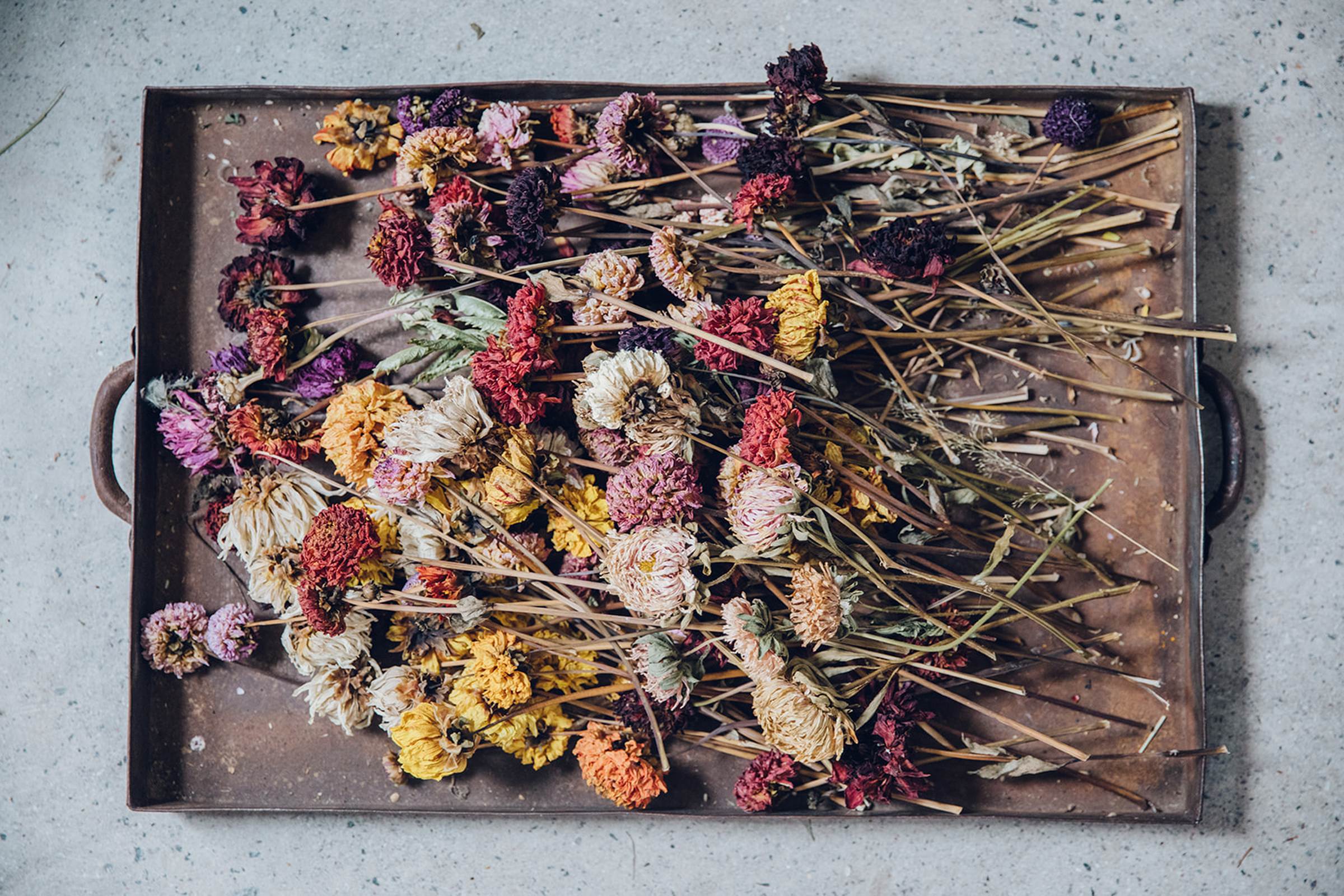 Bex Partridge banner image