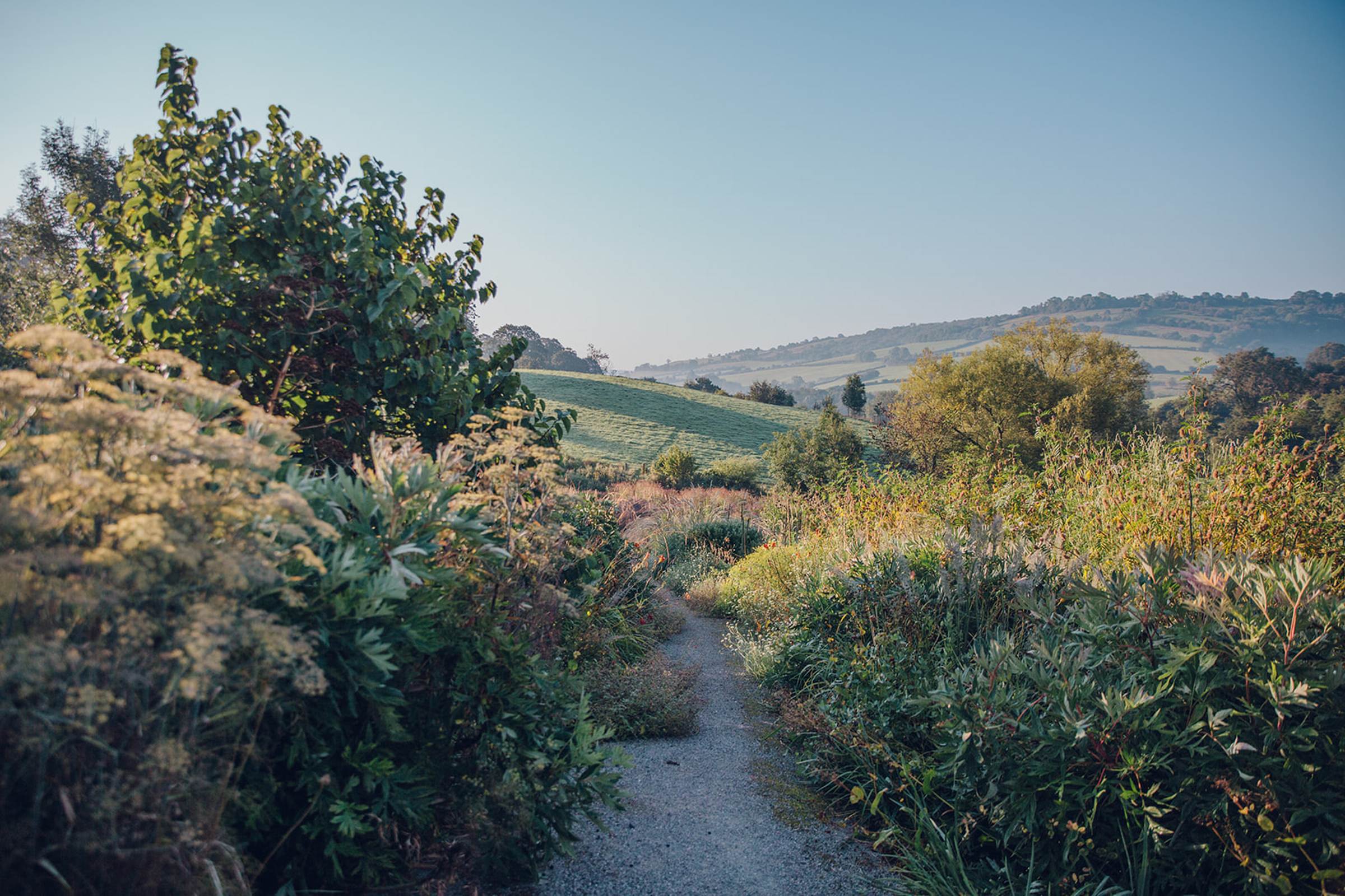 Dan Pearson banner image