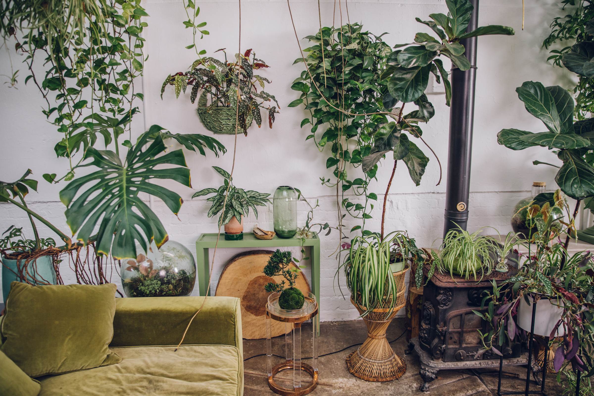 James Wong banner image