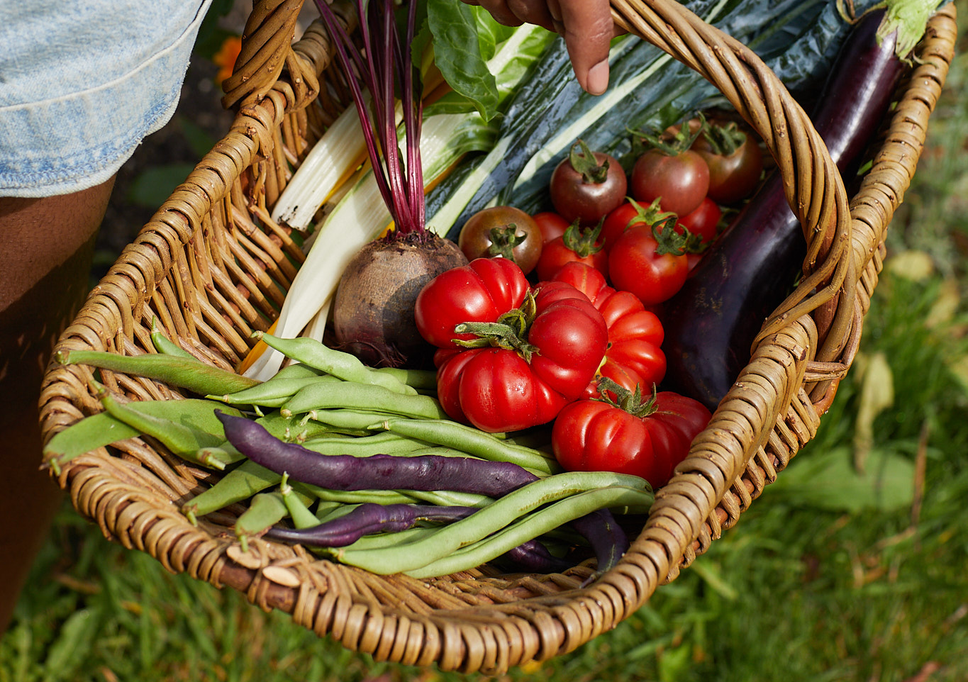 Claire Ratinon banner image