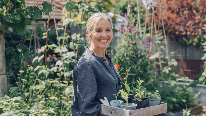 How to Grow Flowers from Seed